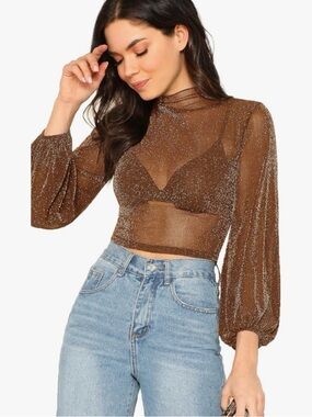 Shimmer Sheer Mock Neck Crop Top in Brown